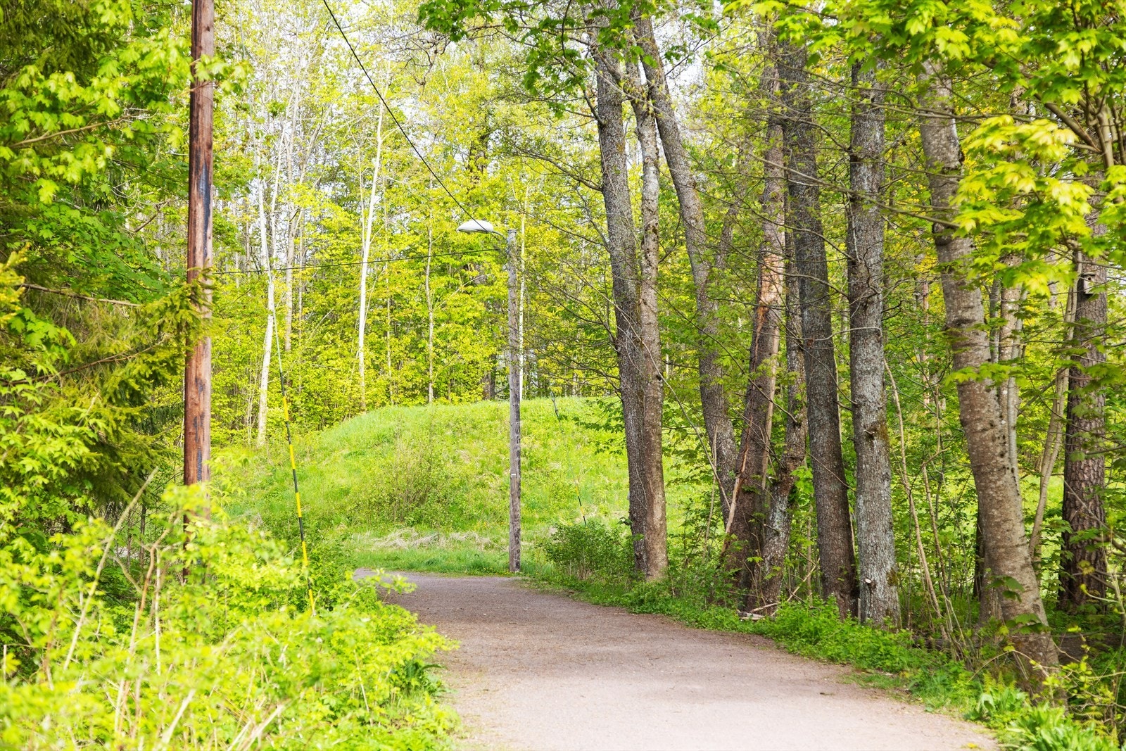 Det er flotte turområder i nærmiljøet Galleribilde