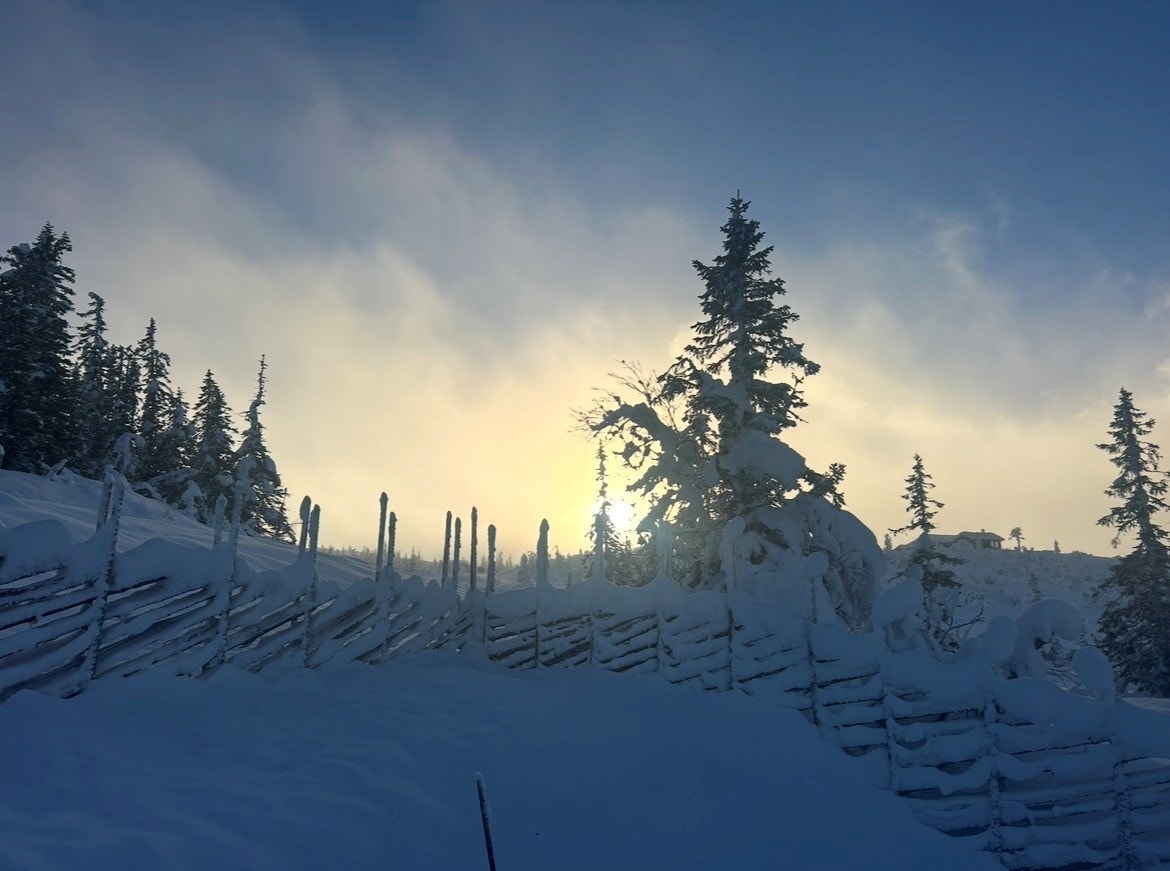 Hytta ligger usjenert til, med skigard rundt tomta. Galleribilde