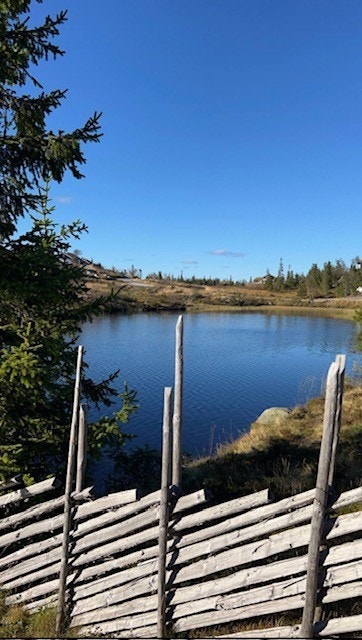 Utsikt fra tomta sommerstid. Galleribilde