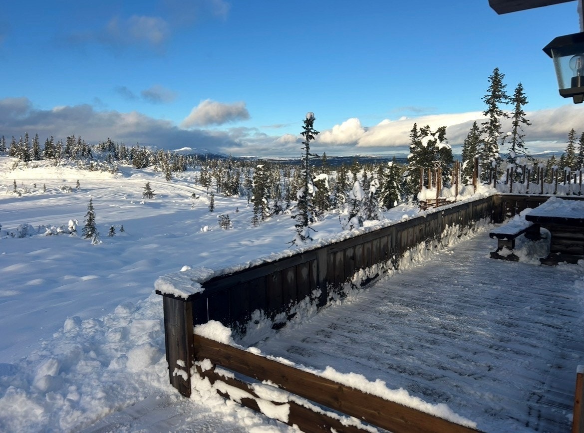 Terrassen ble satt opp i 2025. Galleribilde