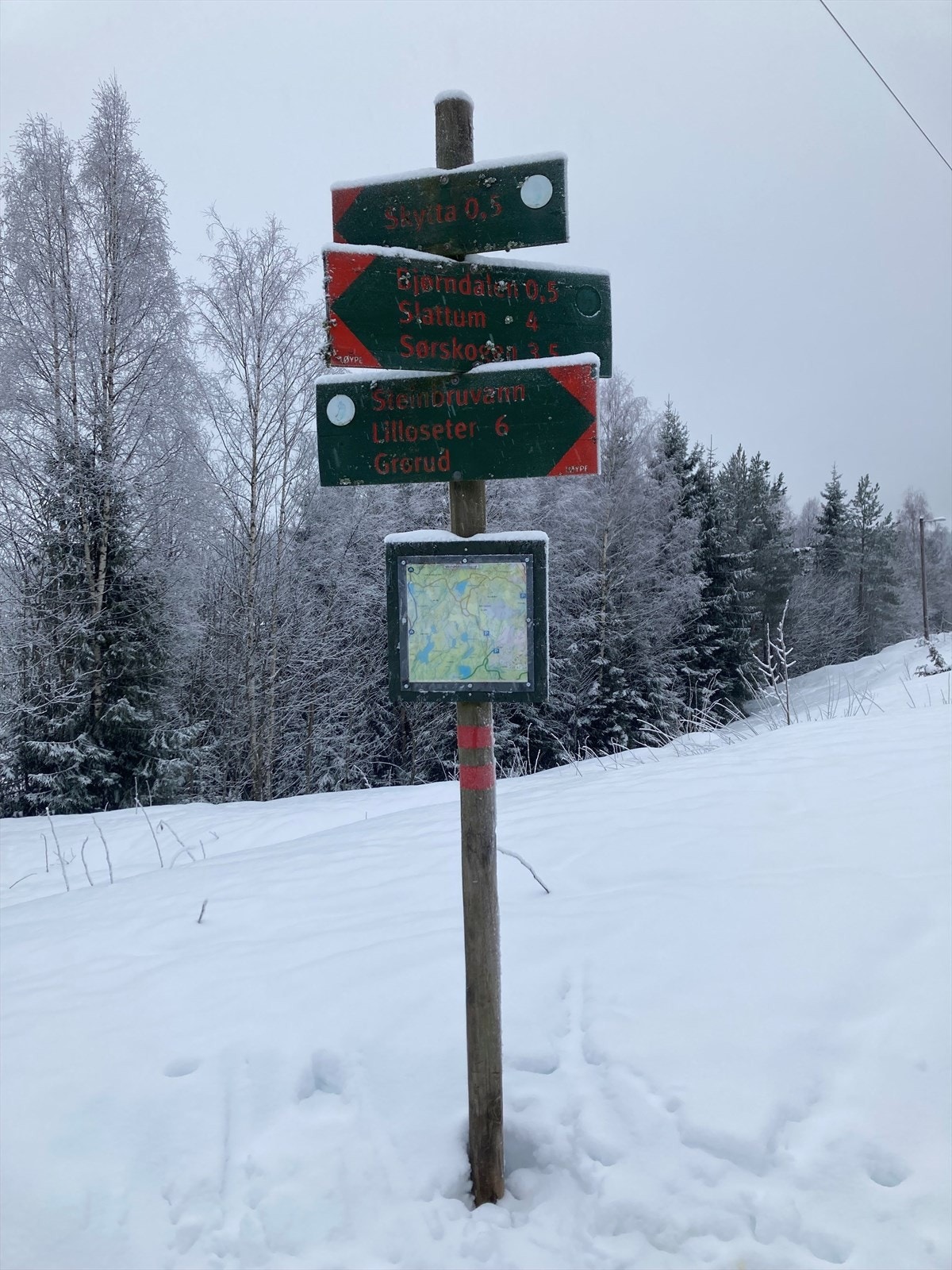 Skiløyper starter rett utenfor døren. Galleribilde