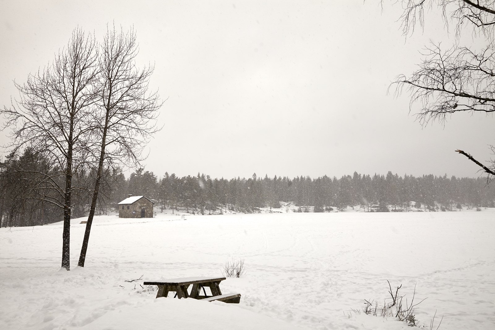 Man kan praktisk talt ta på seg skiene rett utenfor døren og komme rett på et fantastisk løypenett i Lillomarka. Ikke lange turen til Steinbruvann. Galleribilde