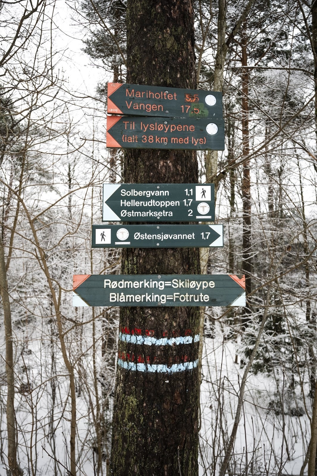 Østmarka venter rett utenfor døren med et stort nettverk av turstier og lysløyper. Galleribilde