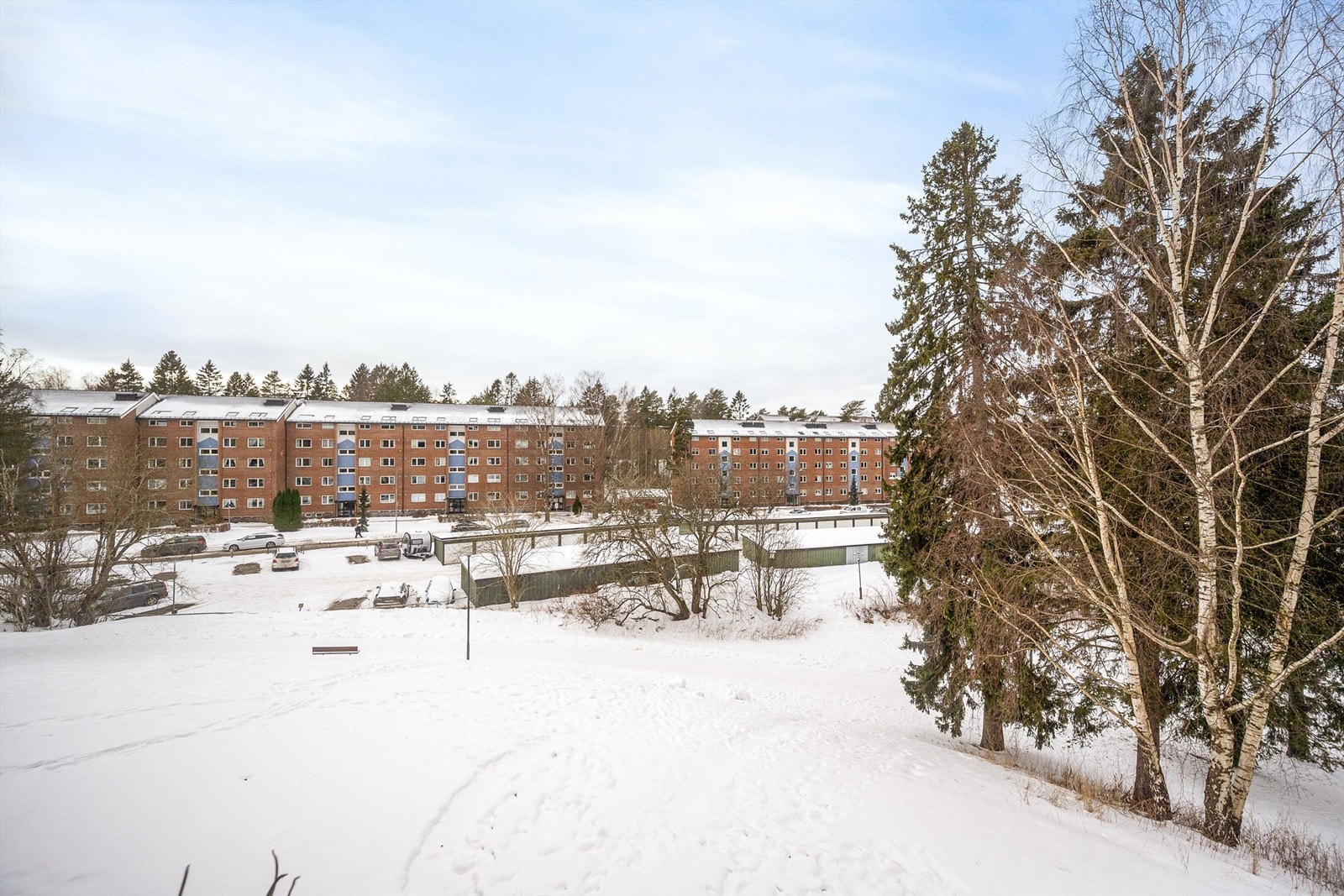 Fra leiligheten har du utsikt over rolige omgivelser og skogholt. Galleribilde