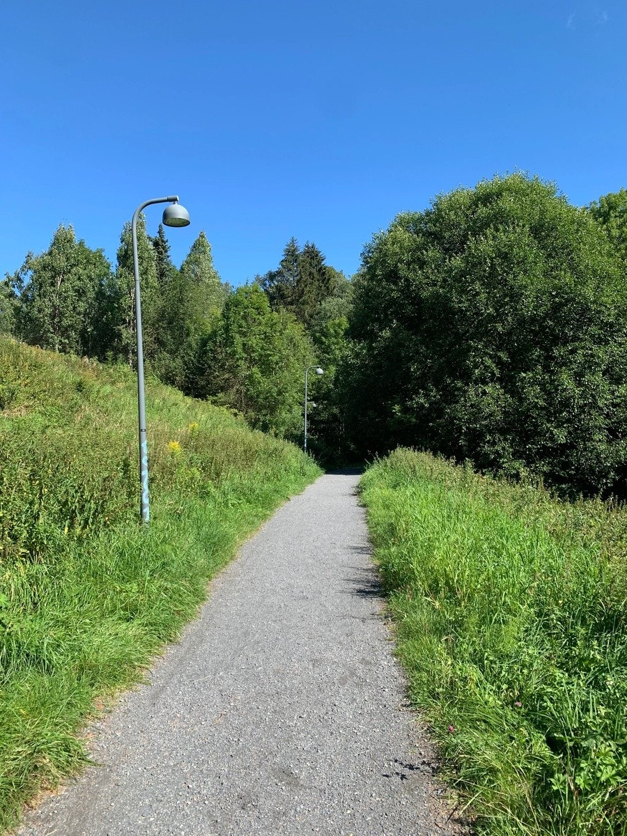 Fin turvei langs Alnaelva rett utenfor blokka Galleribilde