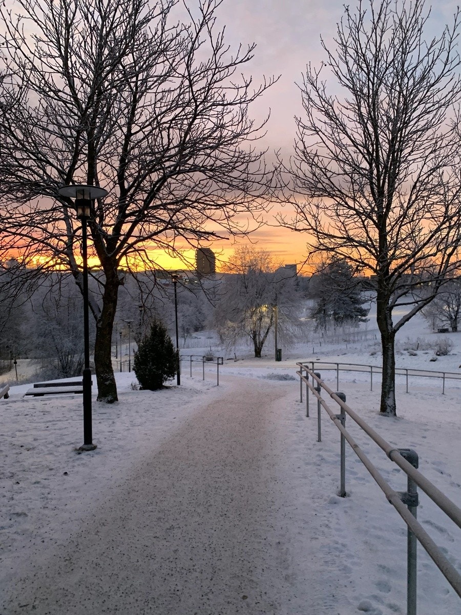 Fra blokka ned mot t-banen Galleribilde