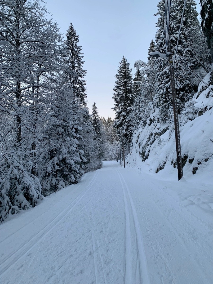 Fine skiløyper rett ved blokka om vinteren Galleribilde