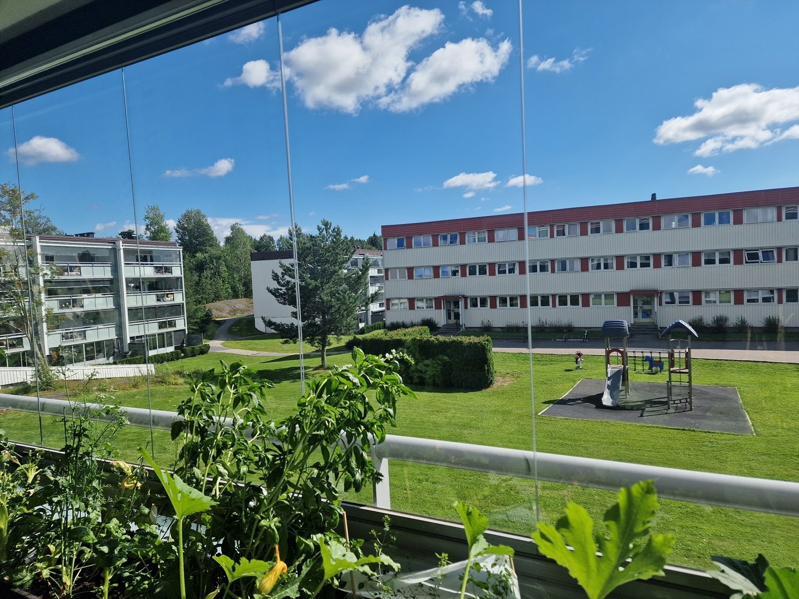 Koselig sommerbilde som viser uteplassen på sommeren. Galleribilde