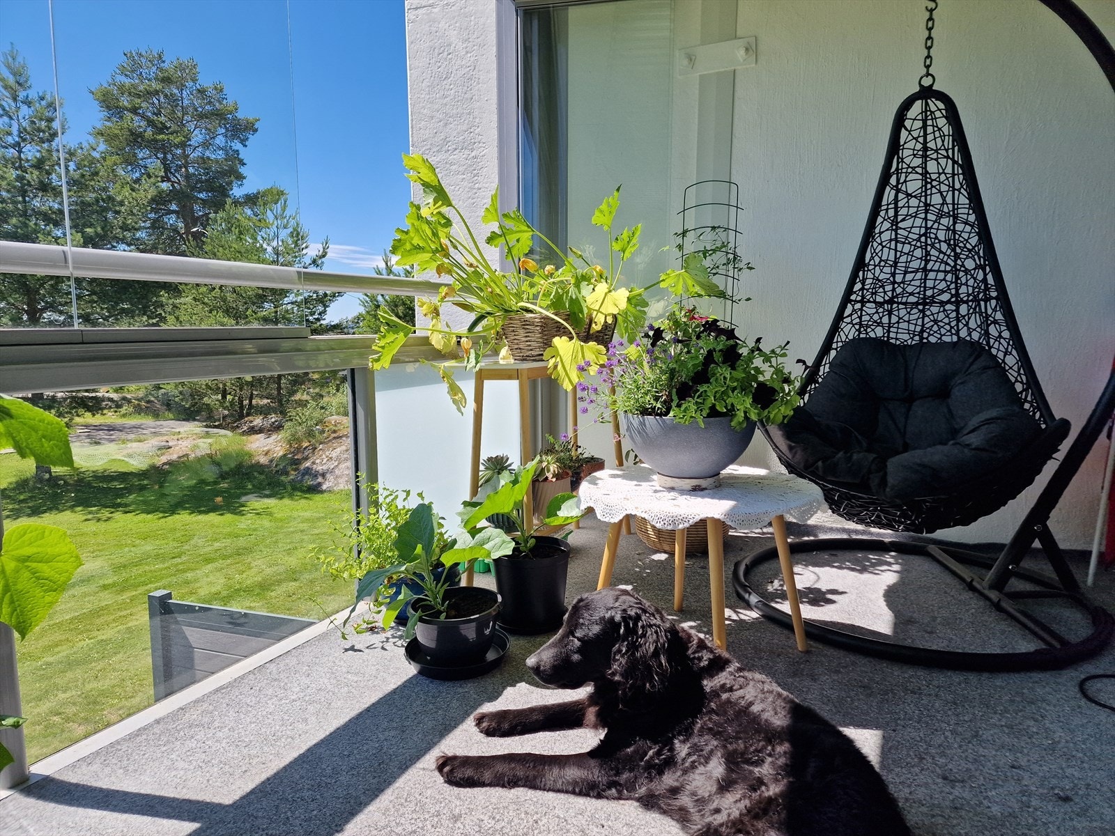 Det er gode solforhold på balkongen. Galleribilde