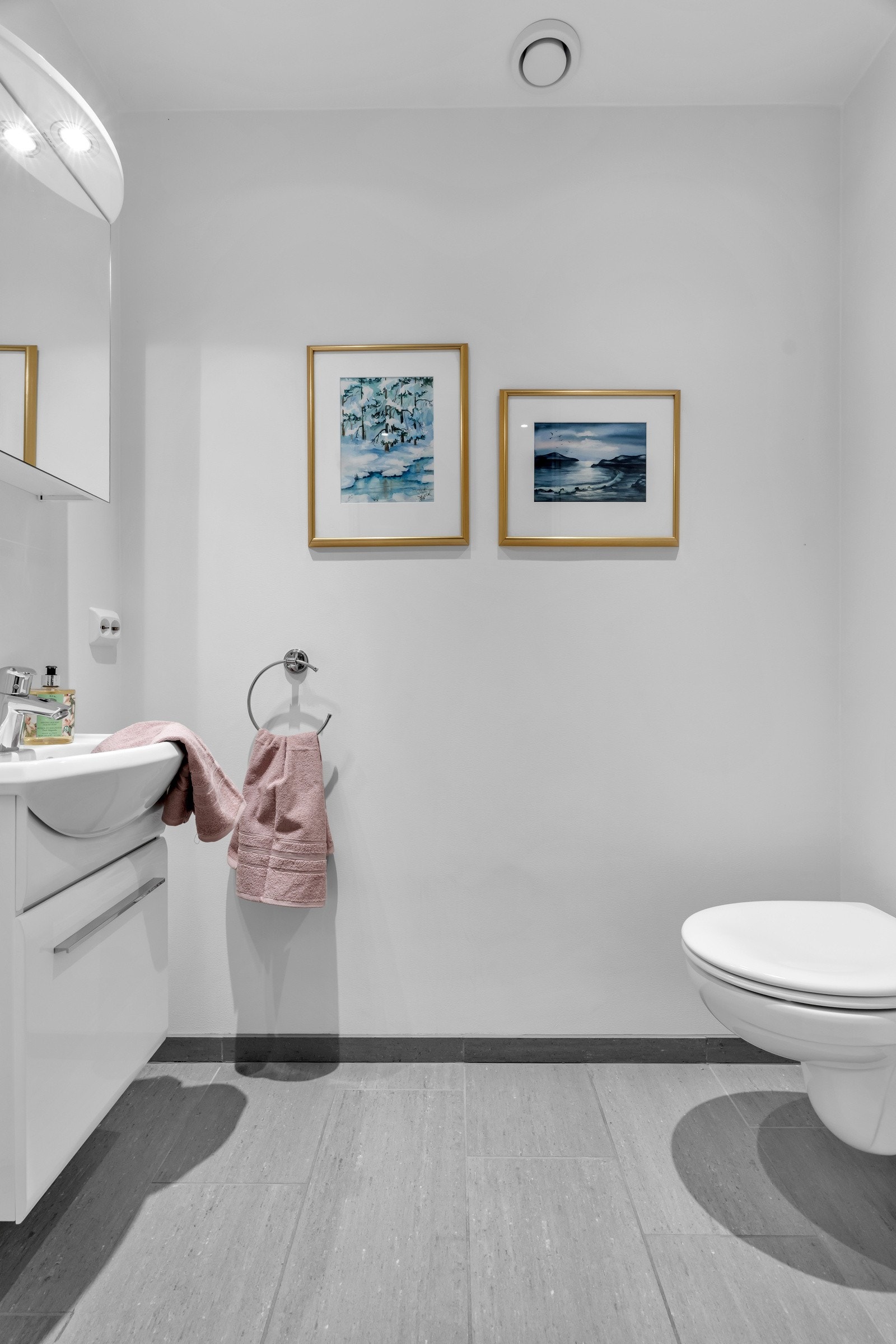 Eget gjestetoalett. Galleribilde