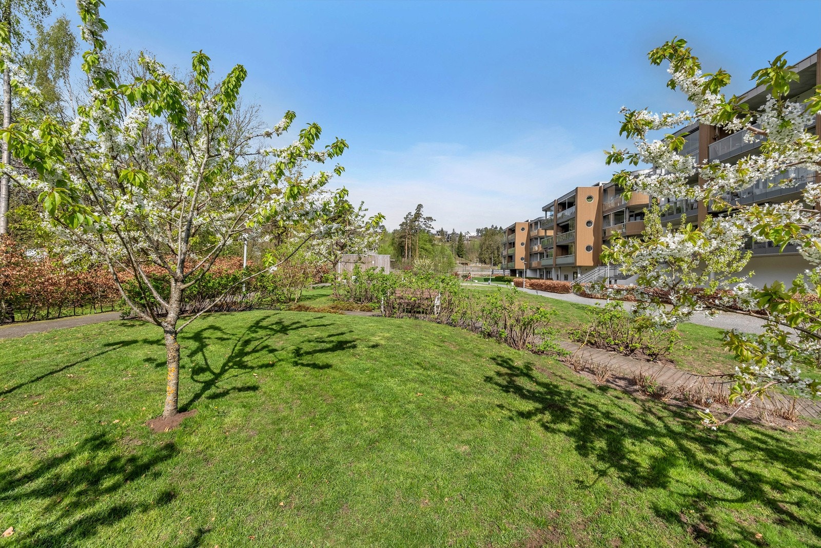 Fellesarealene er parkmessig opparbeidet. Galleribilde