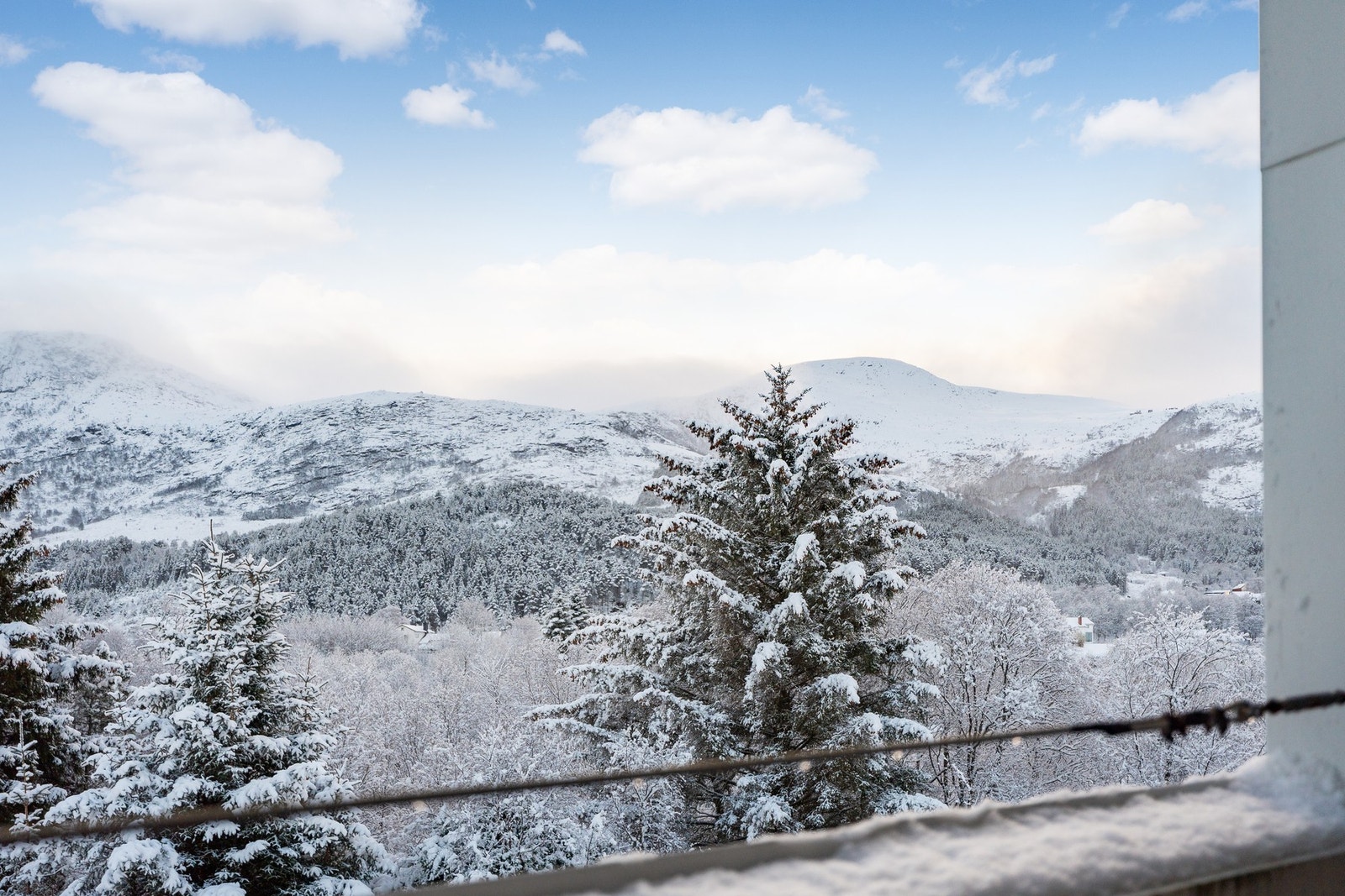 Utsikt fra felles sydvendt terrasse. Galleribilde