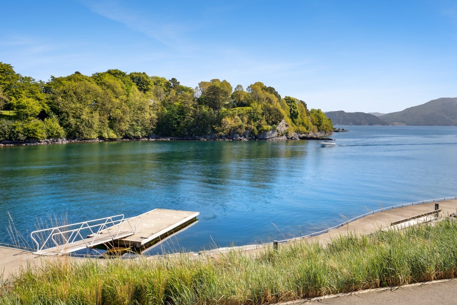 Området yrer av liv på sommeren (her fra mai 2025) Galleribilde