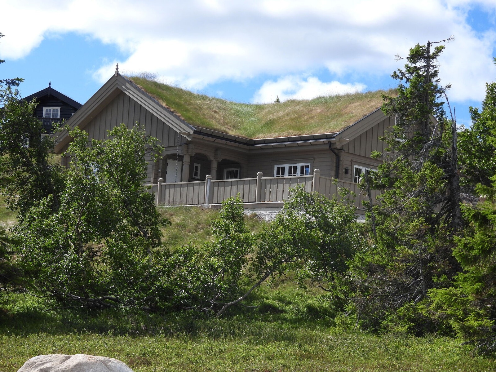 Selgers bilde. Galleribilde