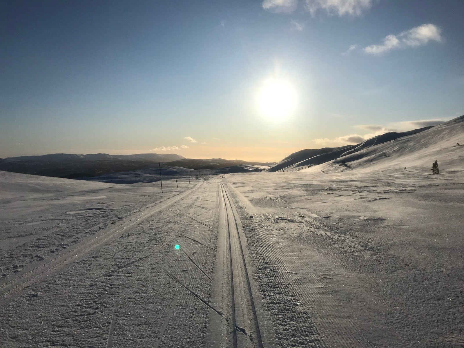 Selgers bilde. Galleribilde