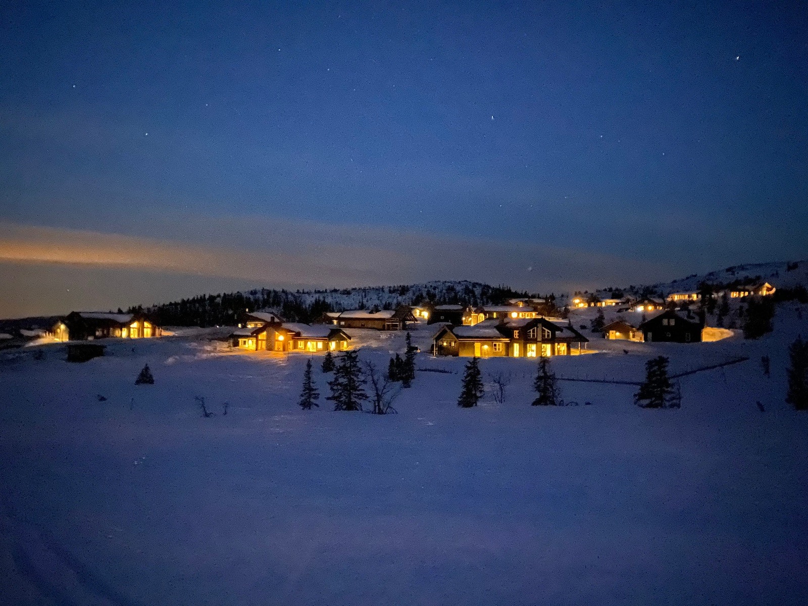 Selgers bilde. Galleribilde