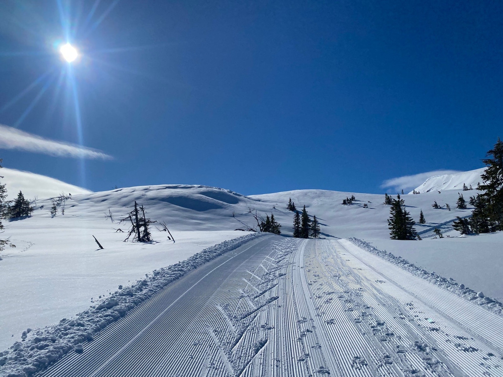 Selgers bilde. Galleribilde