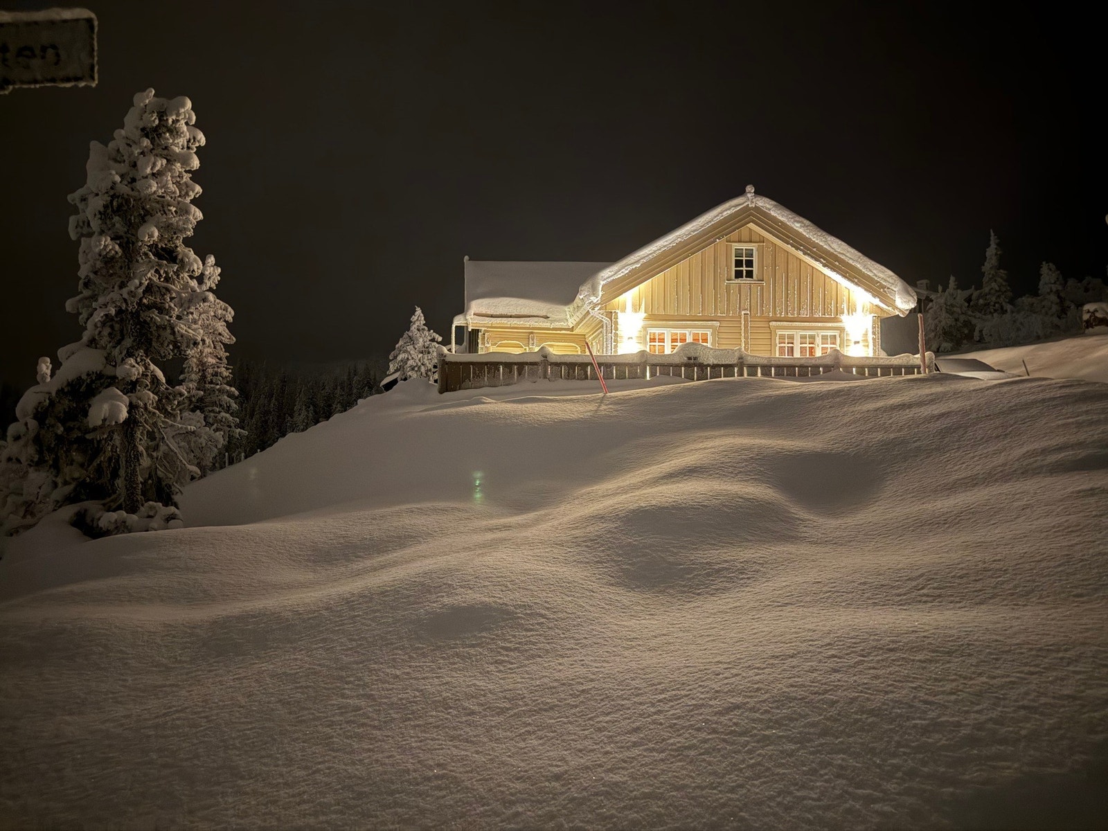 Selgers bilde. Galleribilde