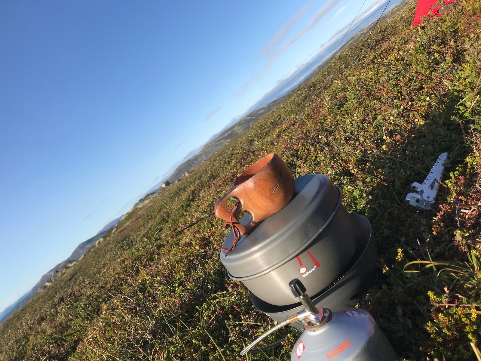 Selgers bilde. Galleribilde