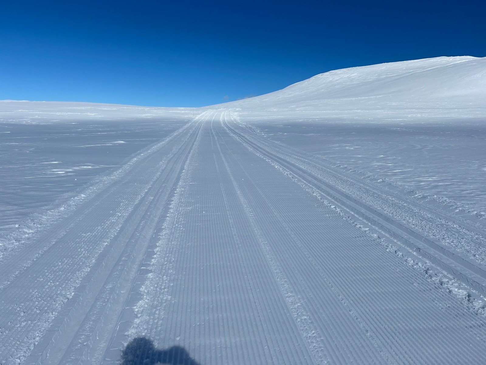 Selgers bilde. Galleribilde