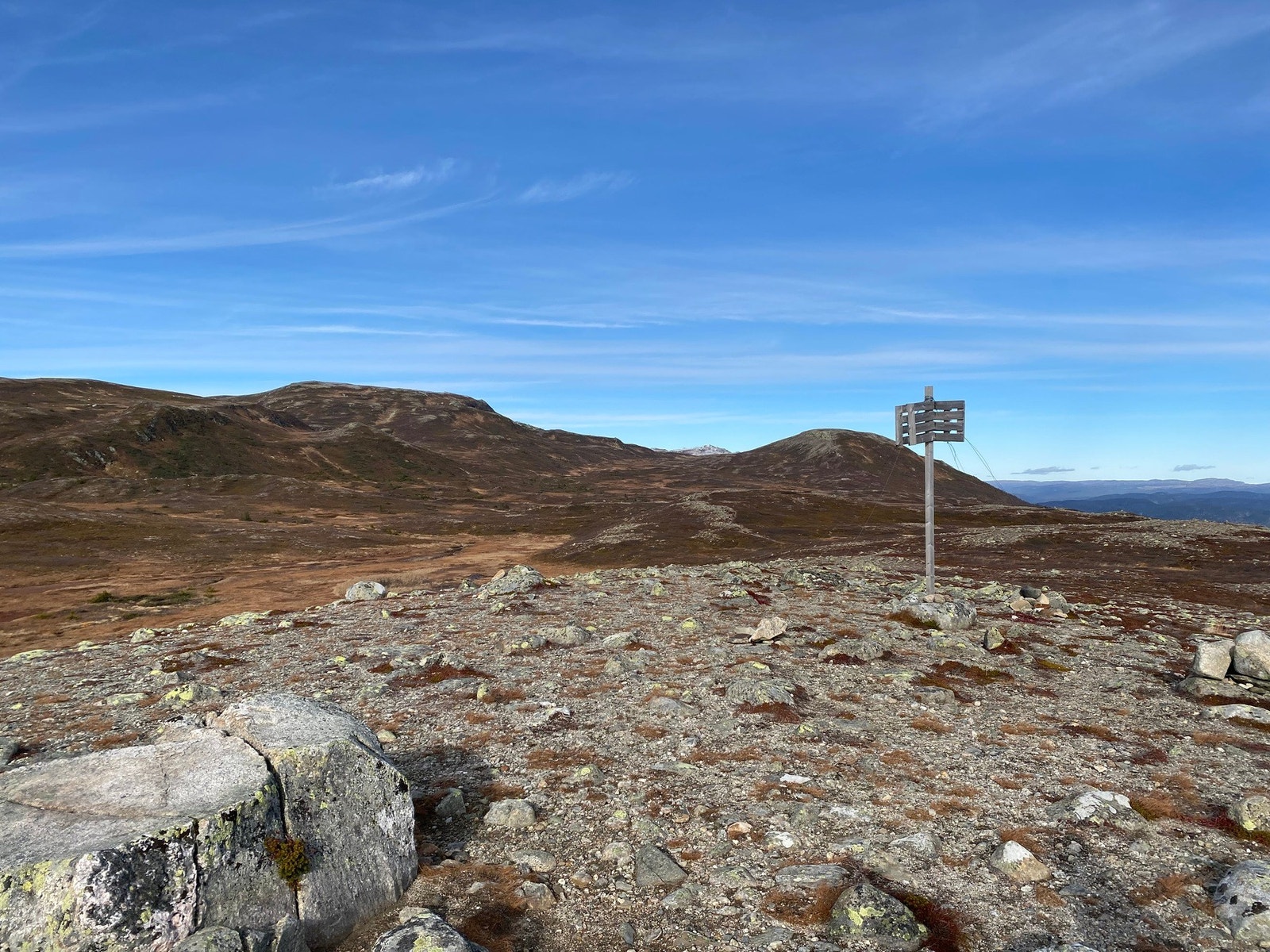 Selgers bilde. Galleribilde