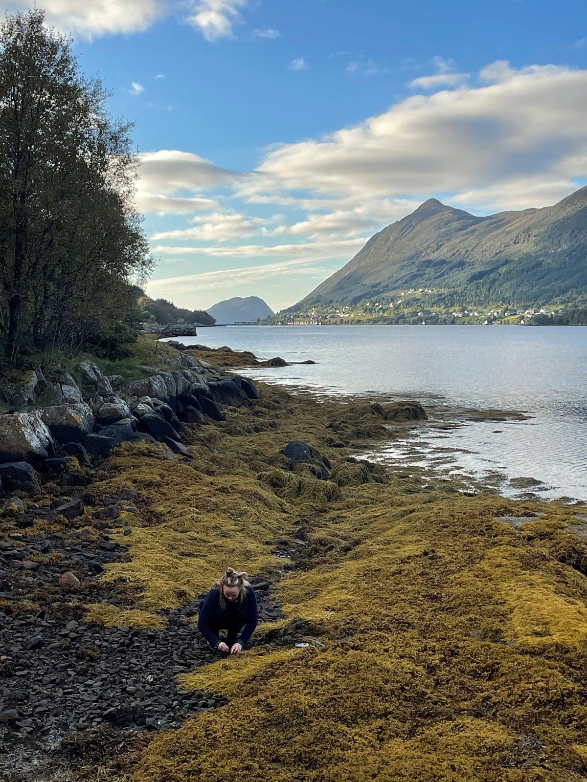 Her er vi nede i fjøren på eigedomen Galleribilde