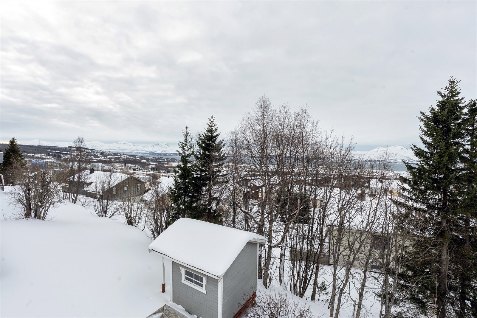 Fantastisk utsikt. Galleribilde