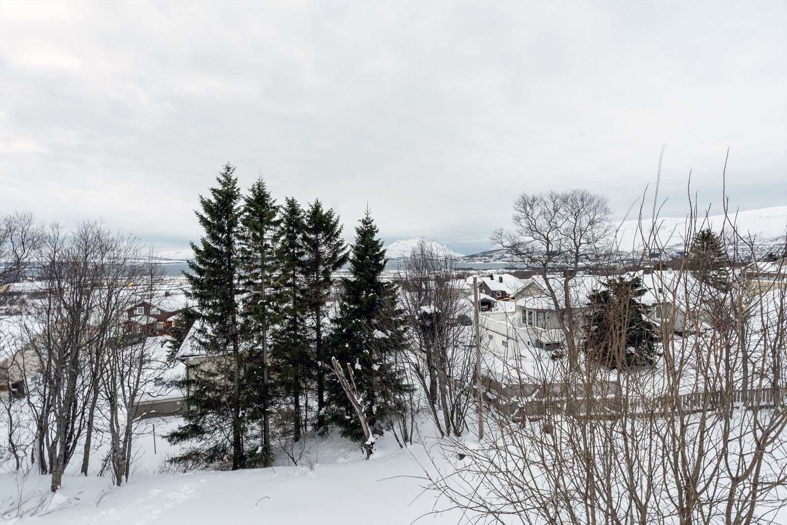 Utsikt. Galleribilde