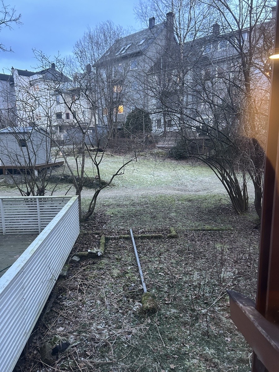 Bakhagen, hvor det mot sommeren er planlagt med en stor og flott platting! Galleribilde