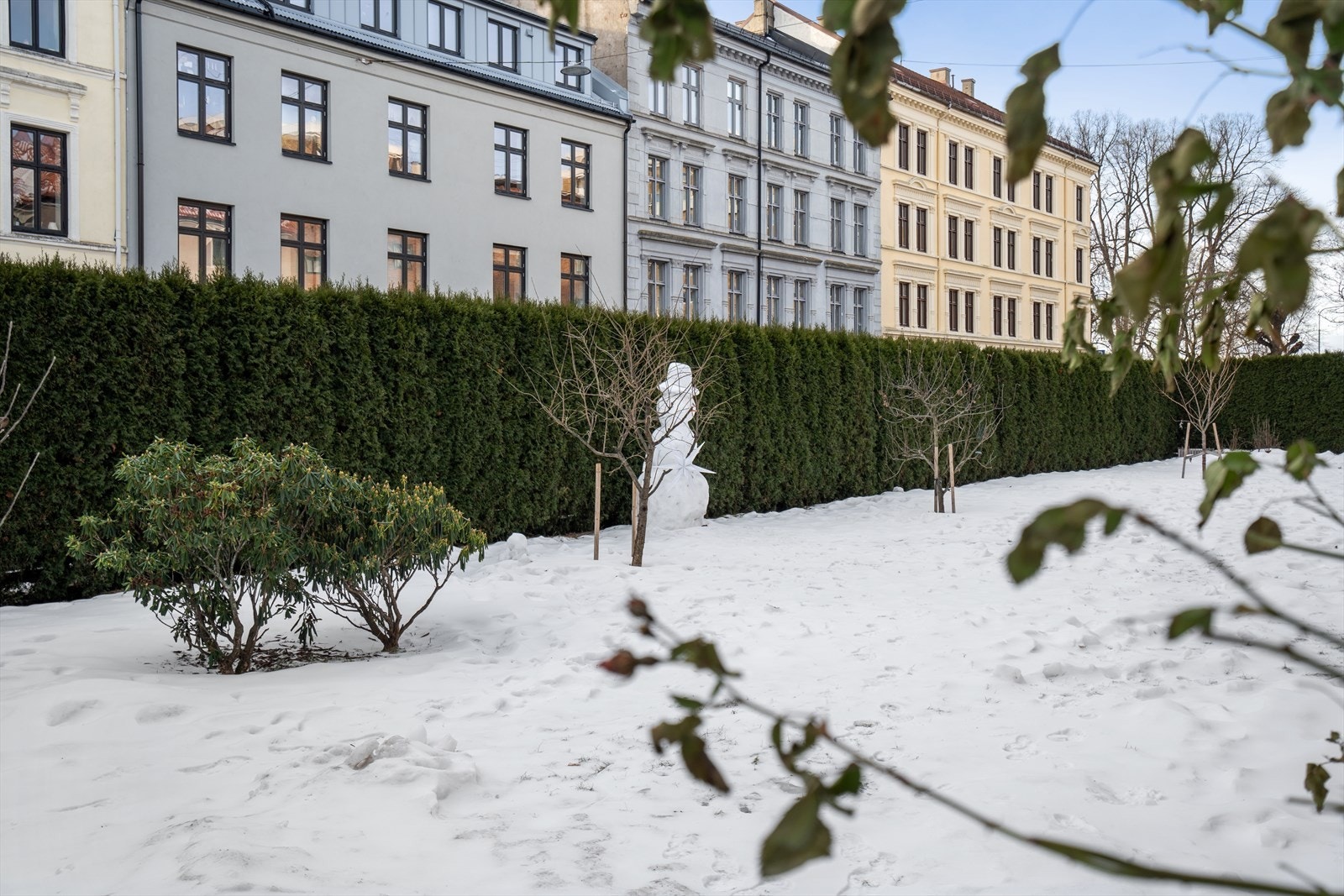 Hage og fellesområde Galleribilde