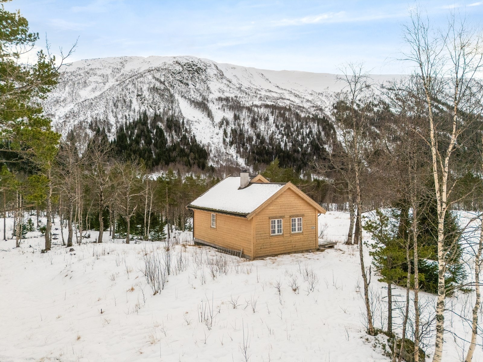 Mjølfjell-området er snørikt og har stabile vinterforhold. I vintersesongen er det muligheter for å gå på ski i nærmest uberørt natur! Galleribilde