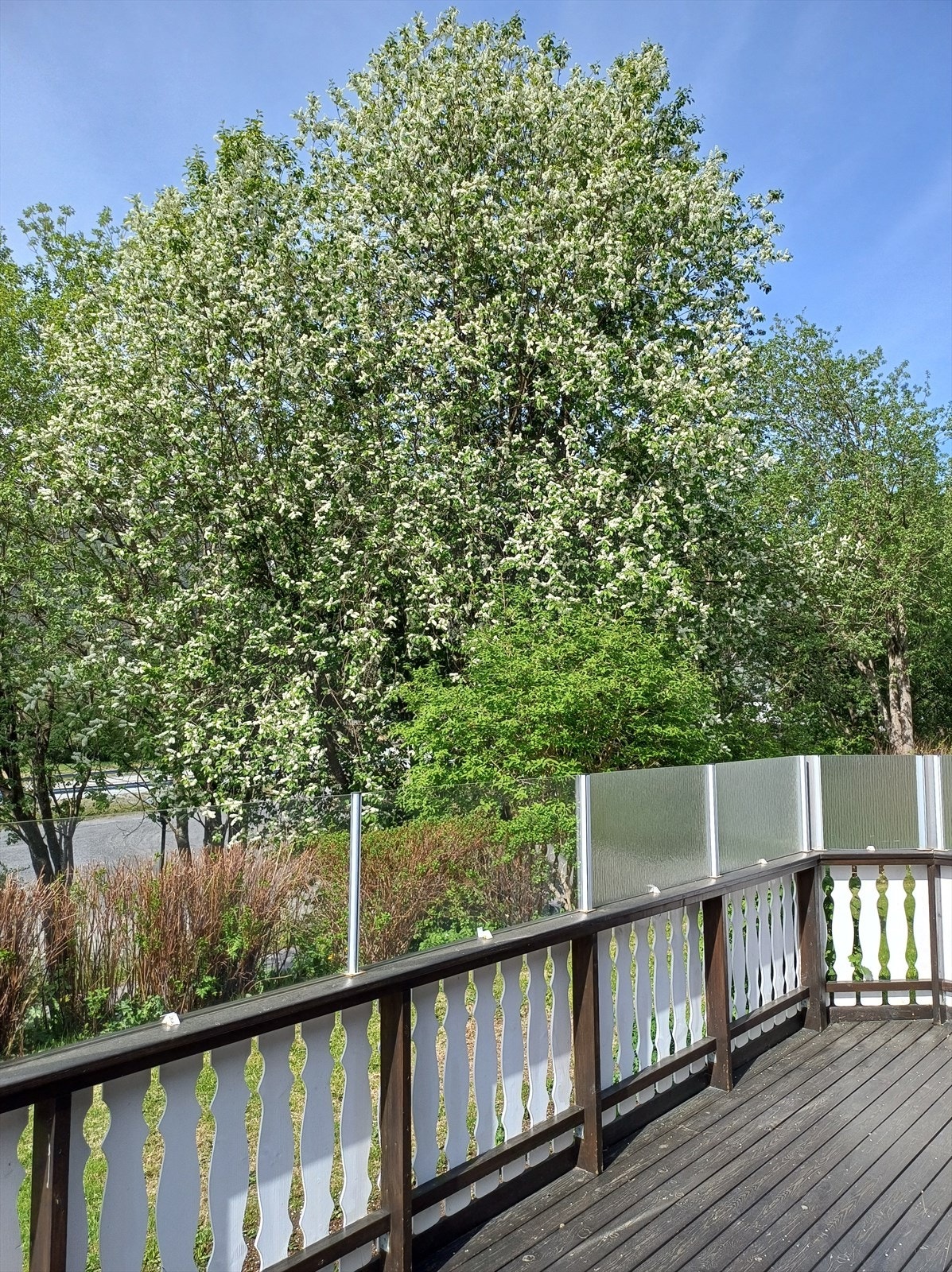 Terrasse Galleribilde