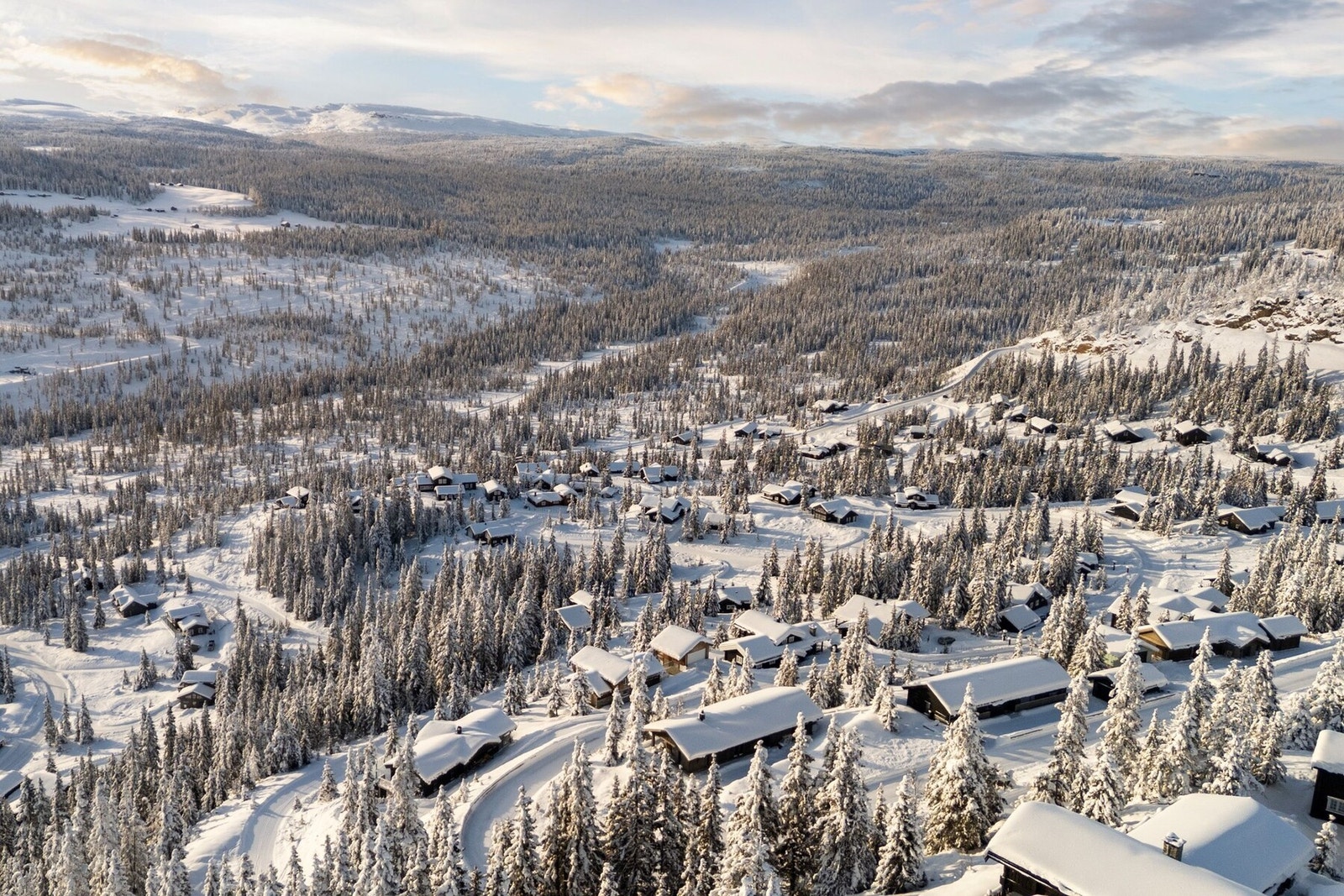 Sommerstid er Kvitfjell det perfekte utgangspunktet for toppturer, sykkelturer og fotturer i skog og fjell. Legg turen til en av de mange toppene i området, eller nyt en dag med stisykling i fantastisk natur. Galleribilde