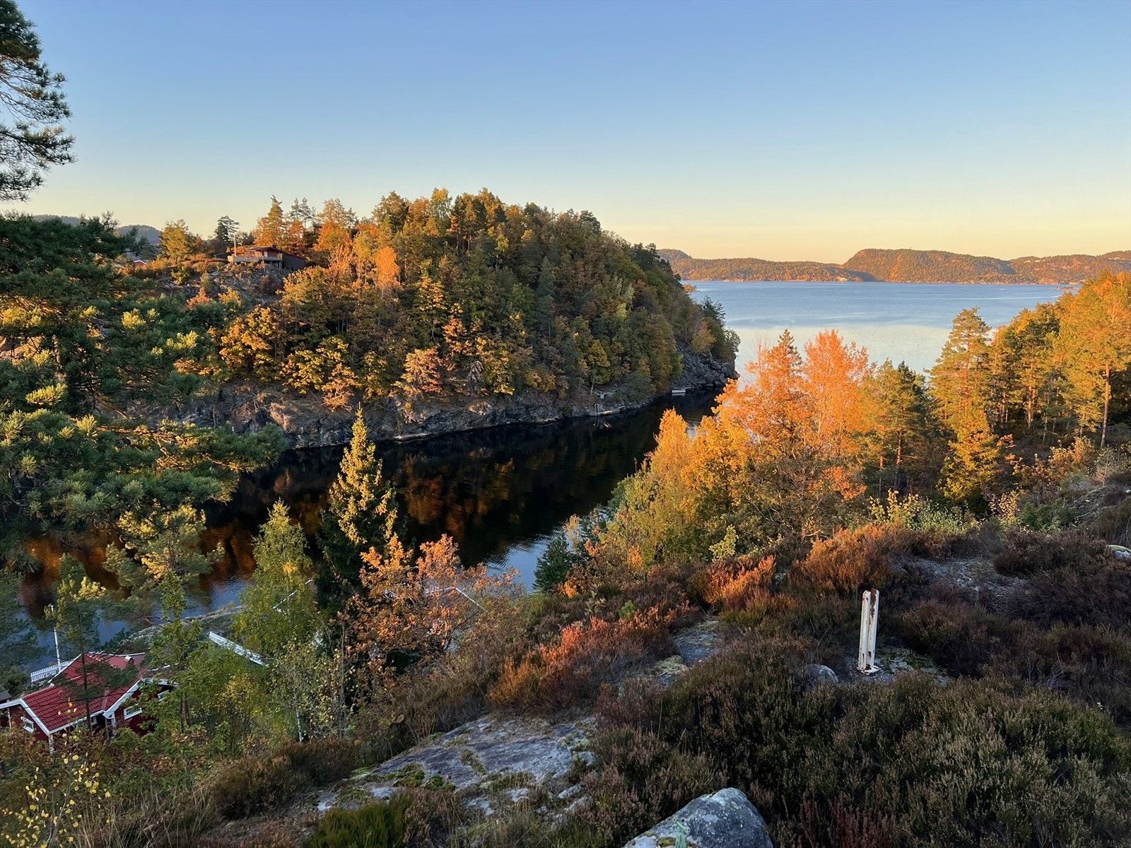 Bilde fra selger Galleribilde