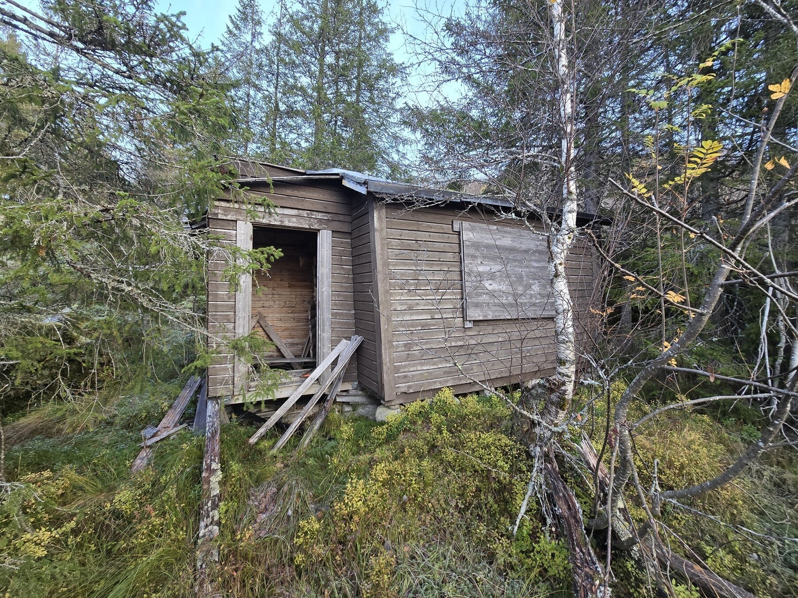 Bilde tatt av megler ved befaring i høst Galleribilde