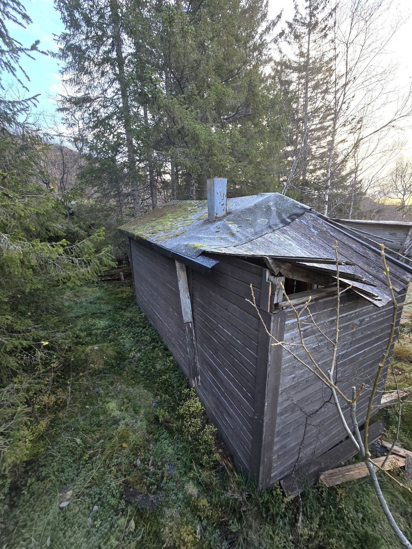 Bilde tatt av megler ved befaring i høst Galleribilde