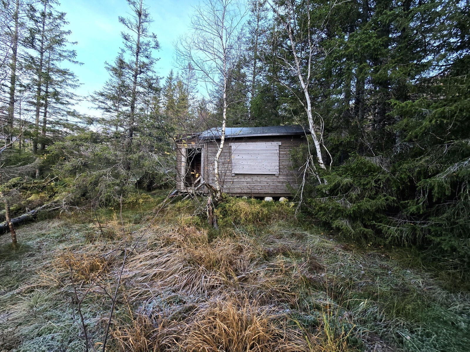 Bilde tatt av megler ved befaring i høst Galleribilde