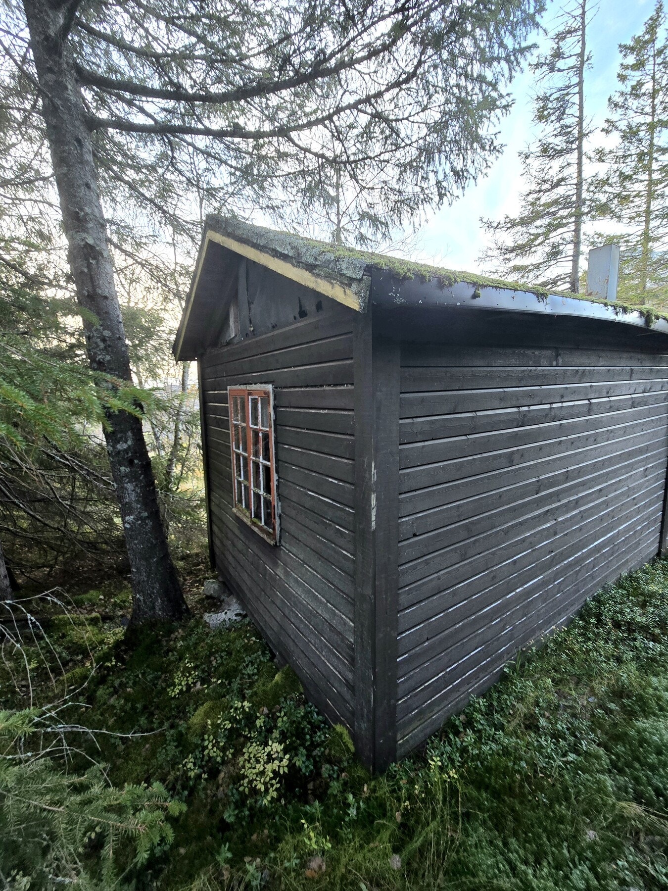 Bilde tatt av megler ved befaring i høst Galleribilde