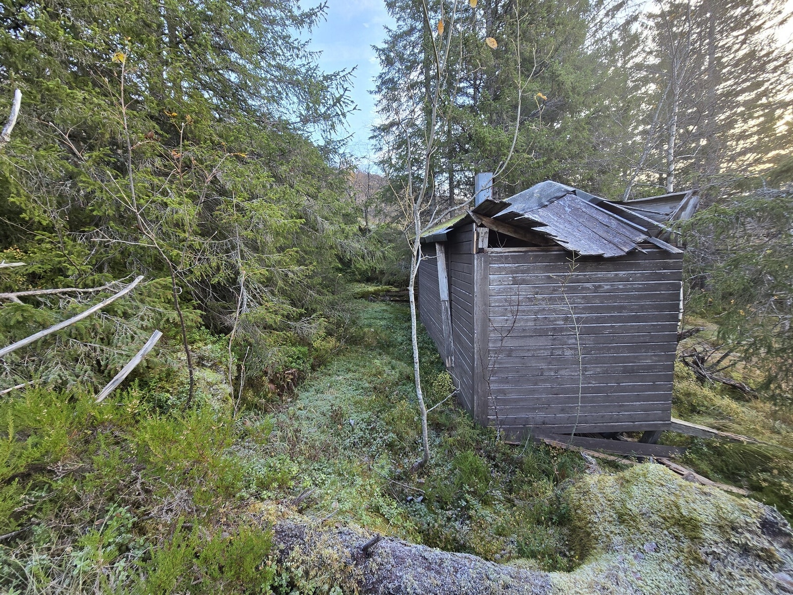 Bilde tatt av megler ved befaring i høst Galleribilde