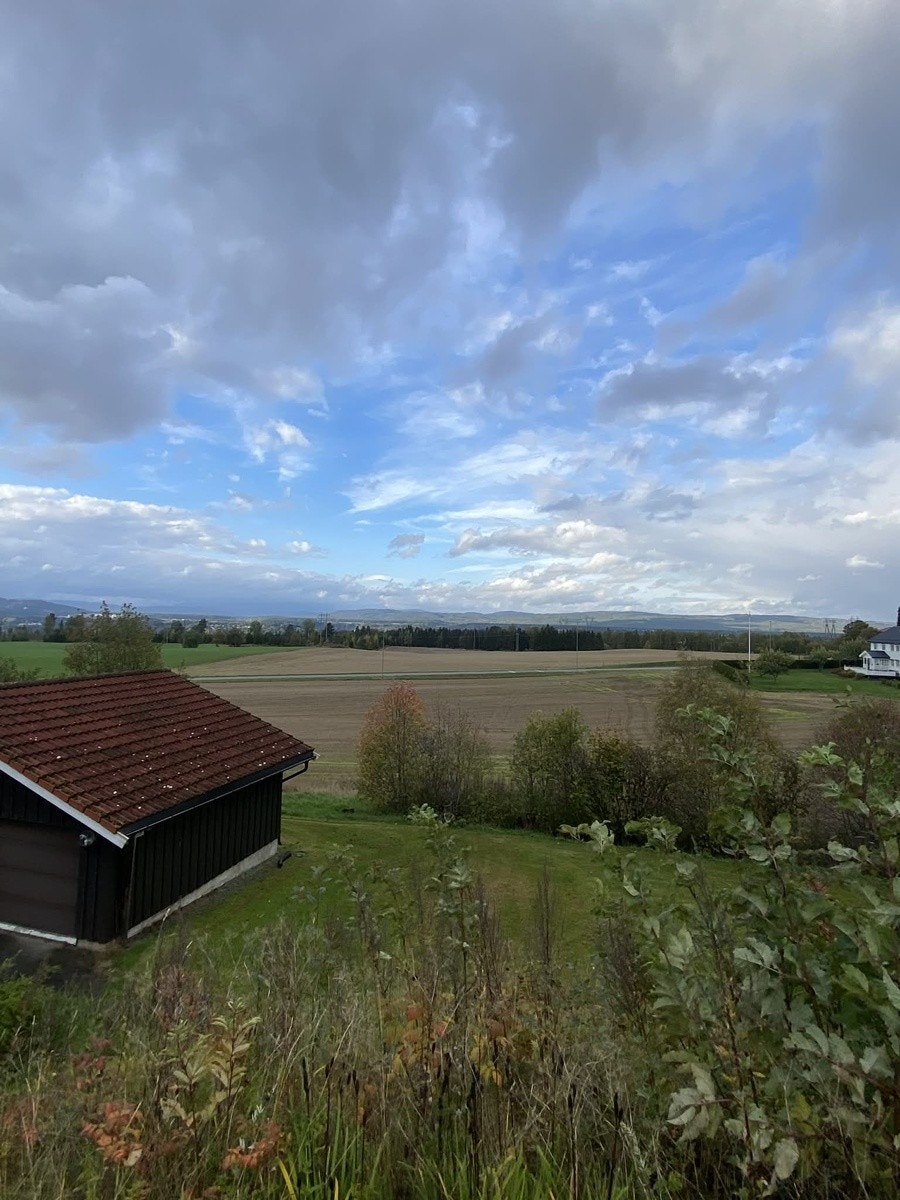 Utsikt mot Hønefoss og Norefjell Galleribilde
