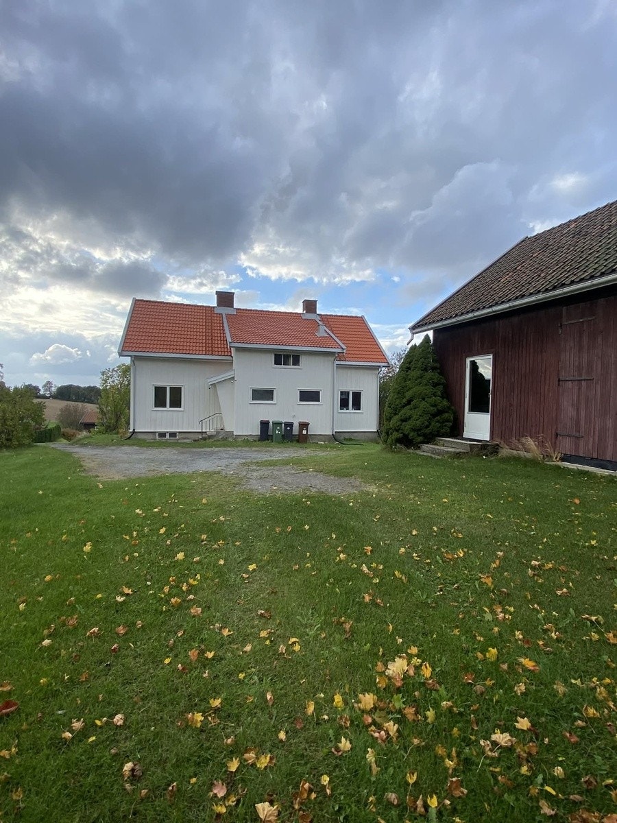 Tunet fra øst Galleribilde