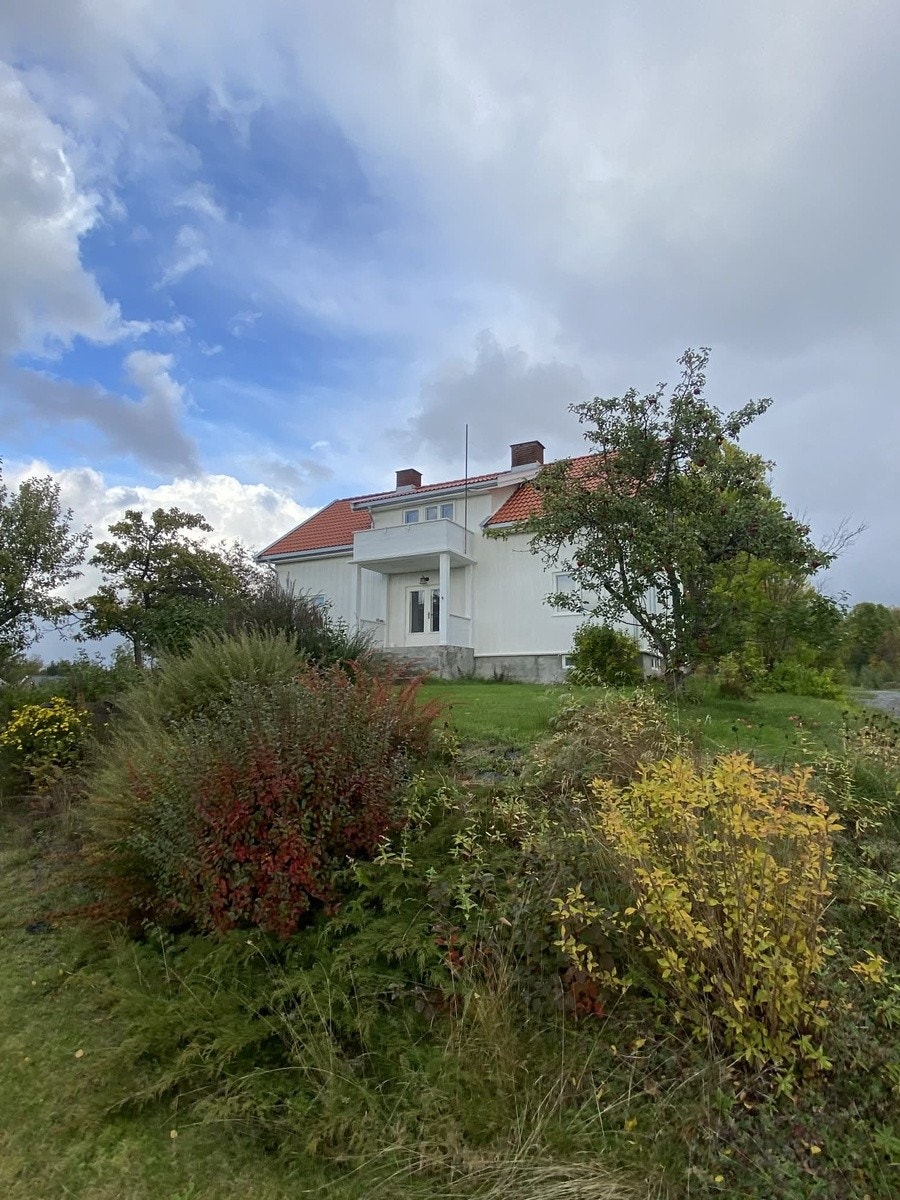 Fin beliggenhet i Haugsbygd Galleribilde