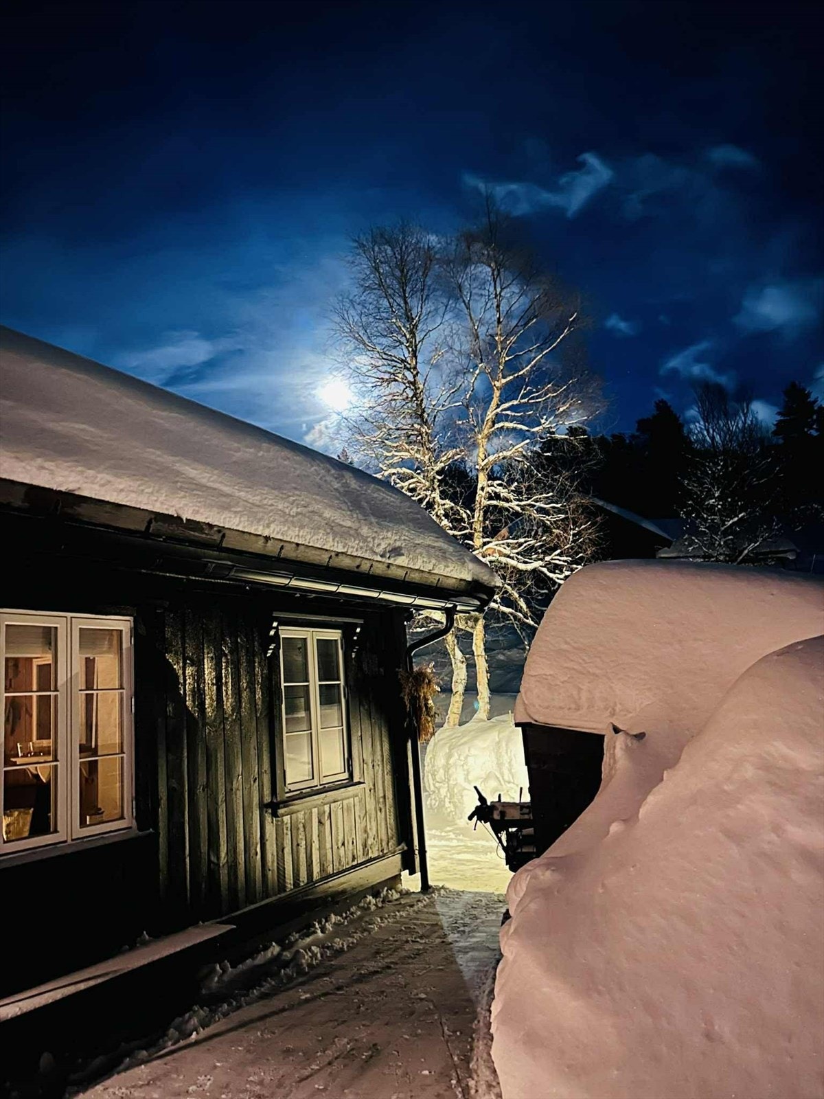 Eiers egne bilder Galleribilde