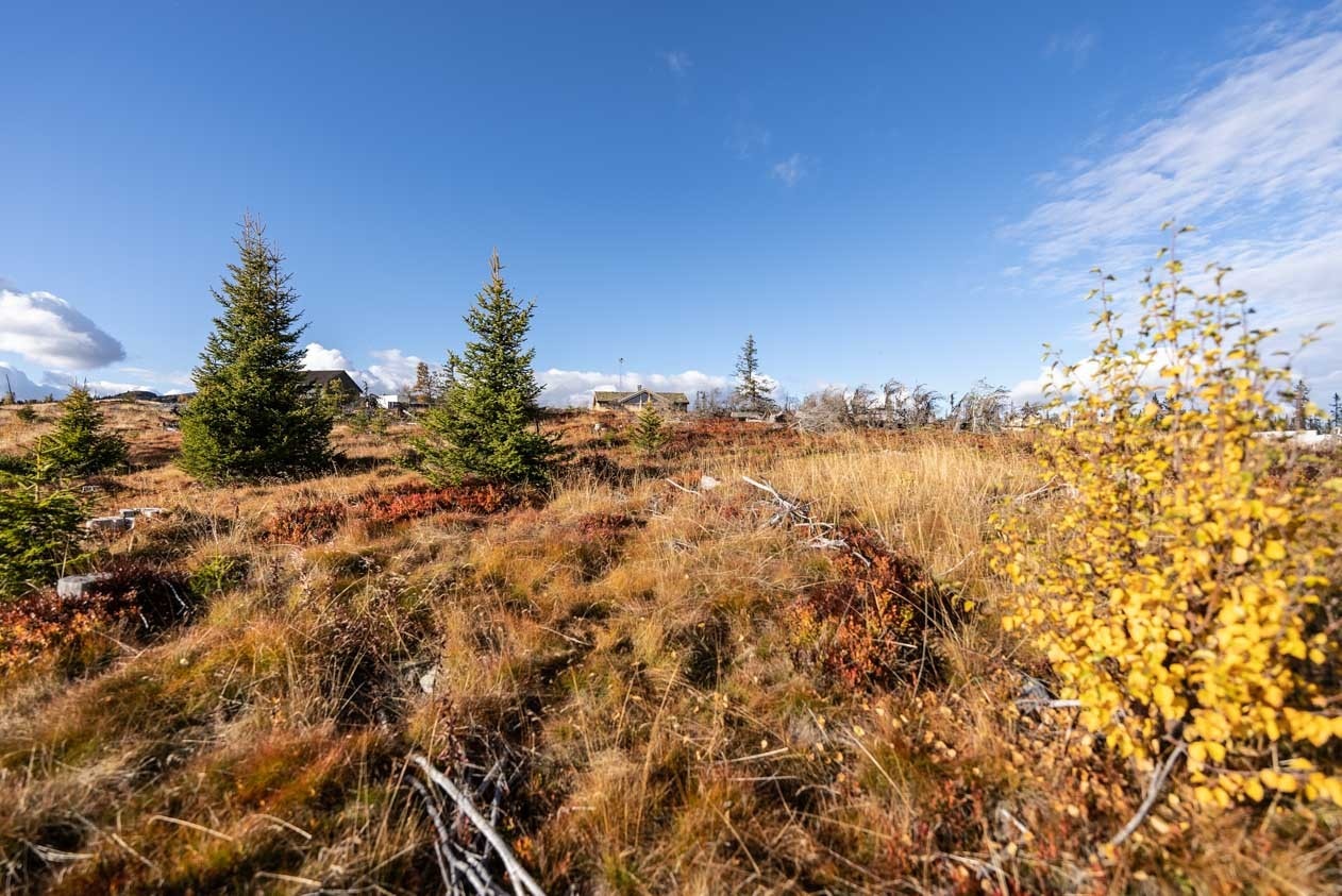 Området rundt Galleribilde