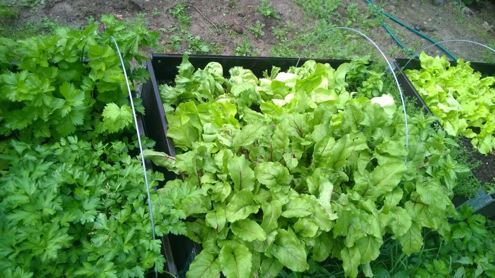 Fra 2025 Galleribilde