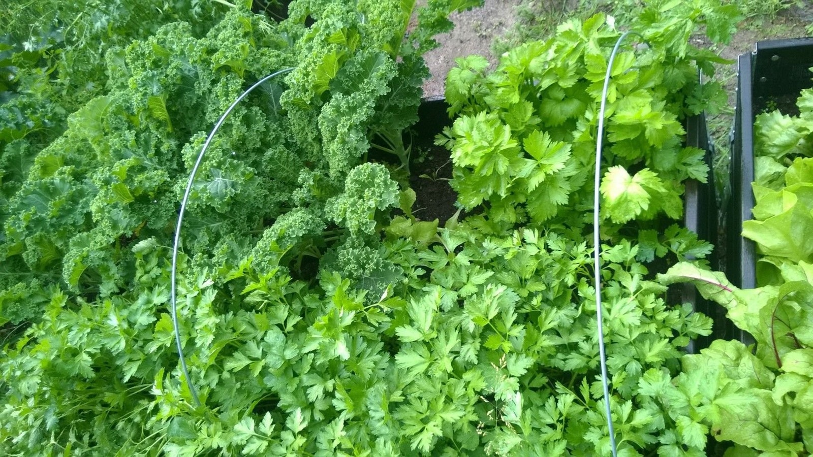 Fra 2025 Galleribilde