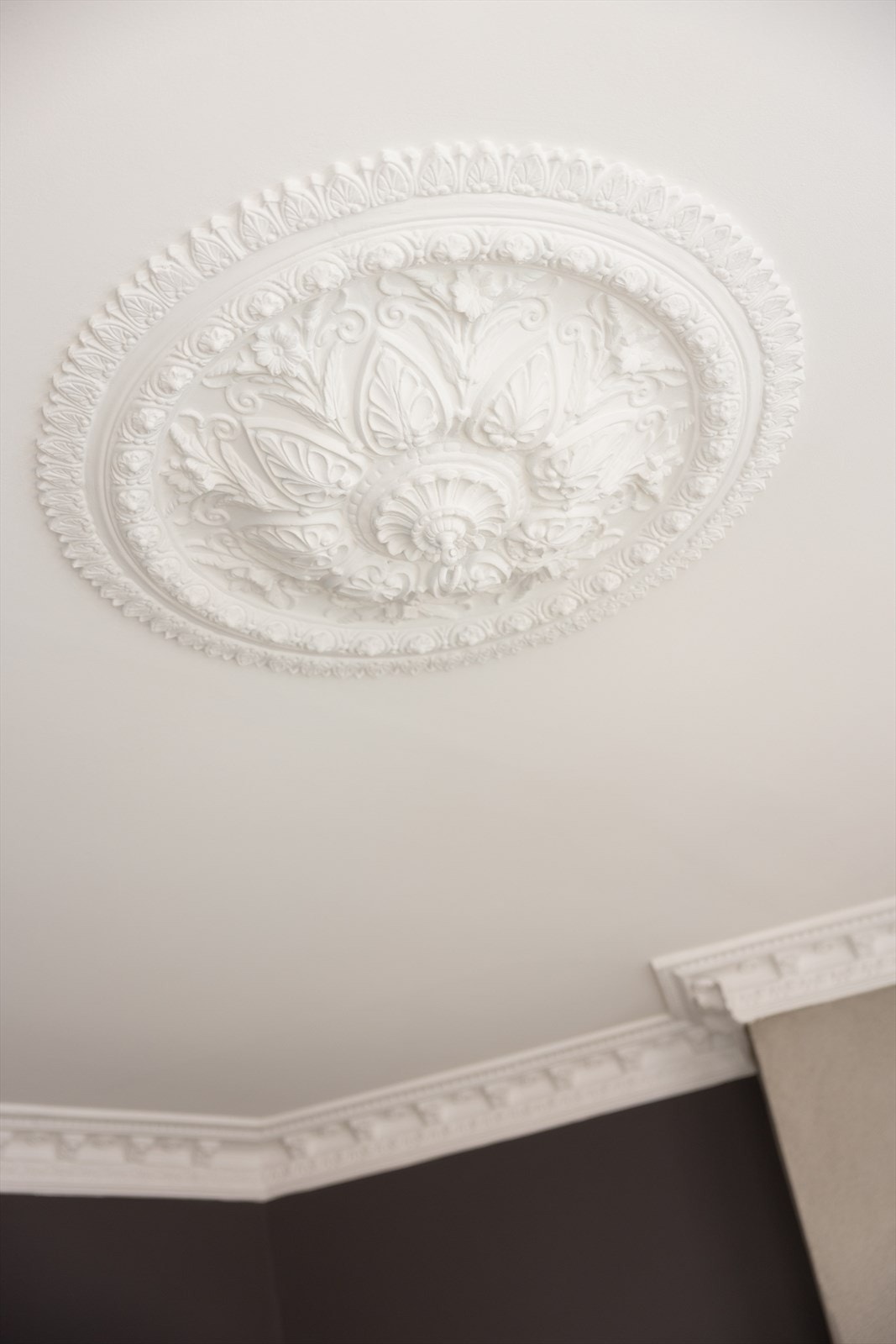 Detaljer | Nydelig rosett. Galleribilde