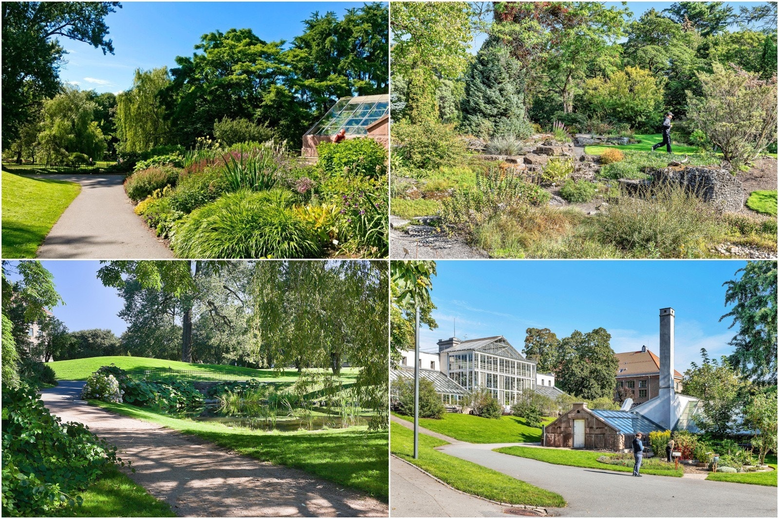 Oslos vakreste parkanlegg Botanisk hage ligger innen kort gangavstand Galleribilde