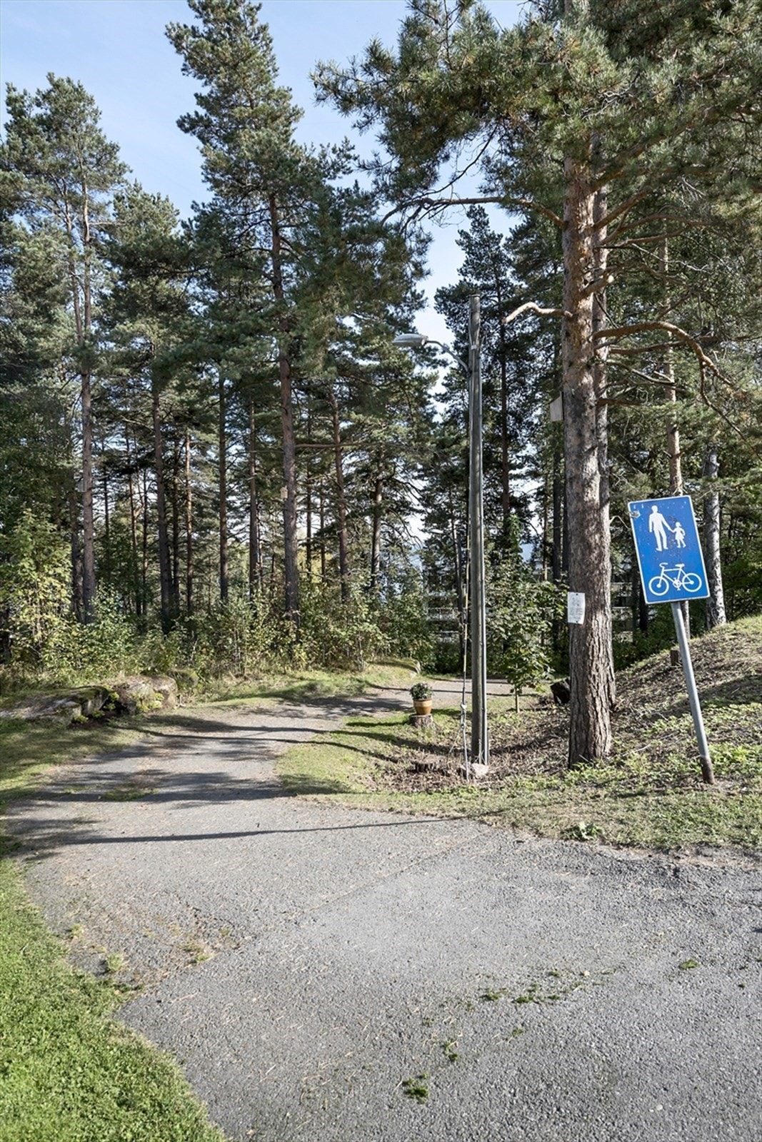 Gangvei til bussholdeplass Galleribilde