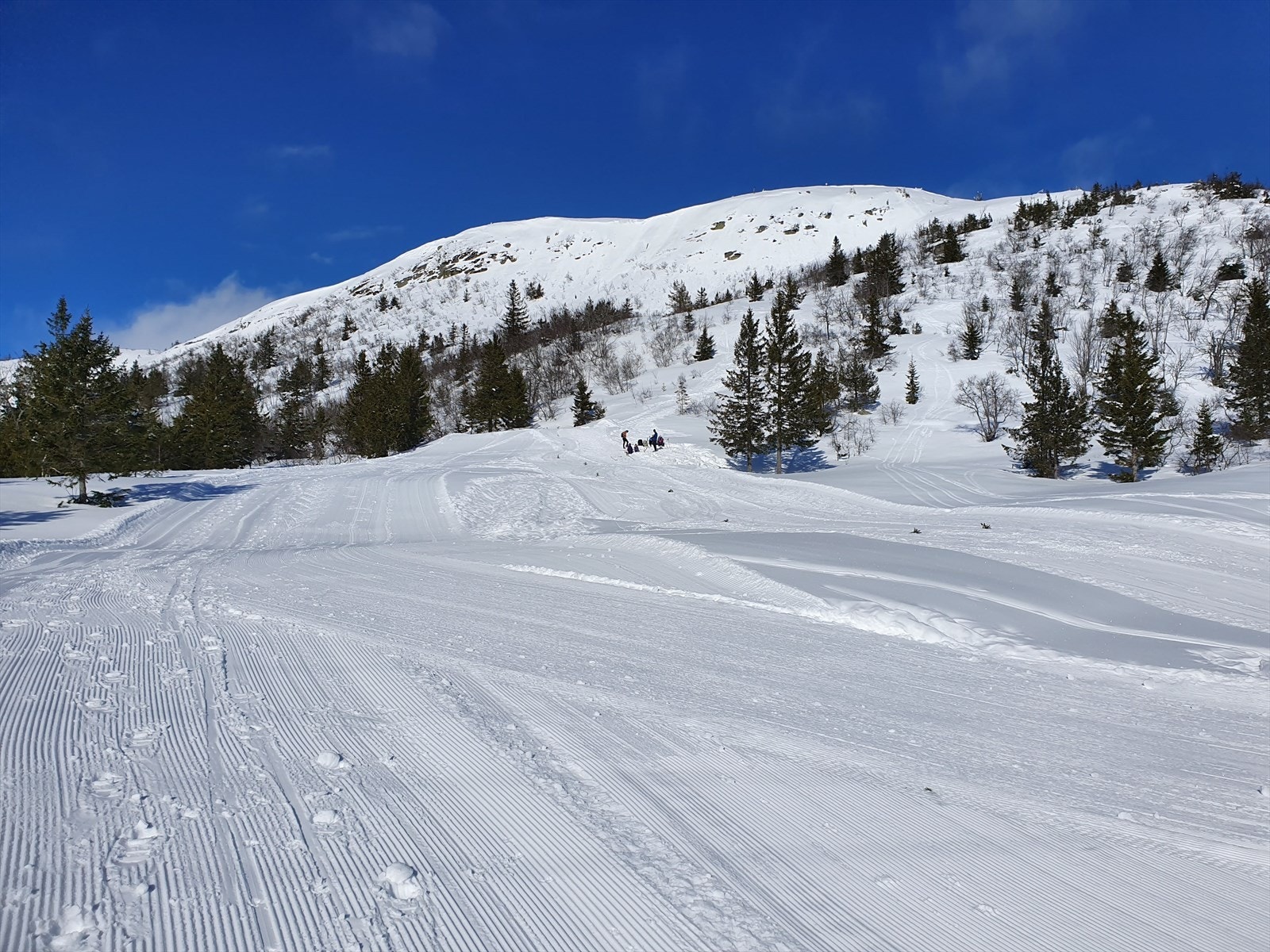 På vinteren har området oppkjørte skiløyper og Skisenteret tilbyr to heiser og flere nedfarter. Galleribilde